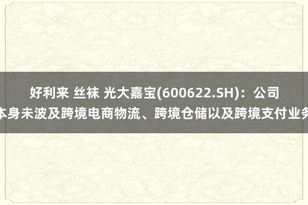 好利来 丝袜 光大嘉宝(600622.SH)：公司本身未波及跨境电商物流、跨境仓储以及跨境支付业务