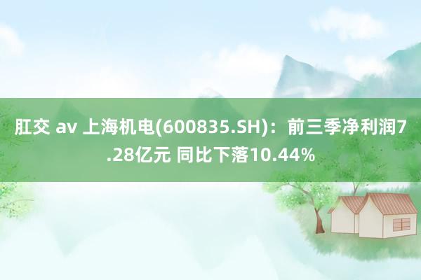 肛交 av 上海机电(600835.SH):前三季净利润7.28亿元 同比下落10.44%