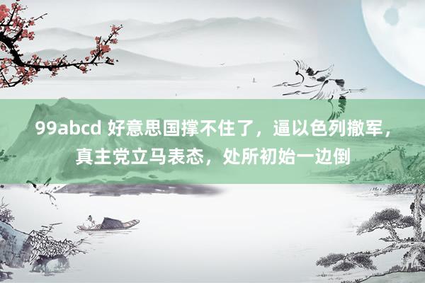 99abcd 好意思国撑不住了，逼以色列撤军，真主党立马表态，处所初始一边倒