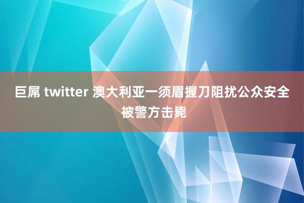 巨屌 twitter 澳大利亚一须眉握刀阻扰公众安全 被警方击毙