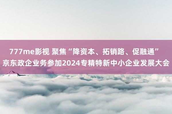 777me影视 聚焦“降资本、拓销路、促融通” 京东政企业务参加2024专精特新中小企业发展大会