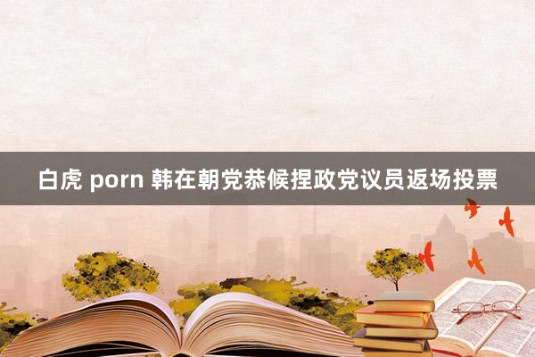白虎 porn 韩在朝党恭候捏政党议员返场投票