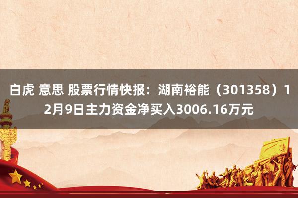 白虎 意思 股票行情快报：湖南裕能（301358）12月9日主力资金净买入3006.16万元