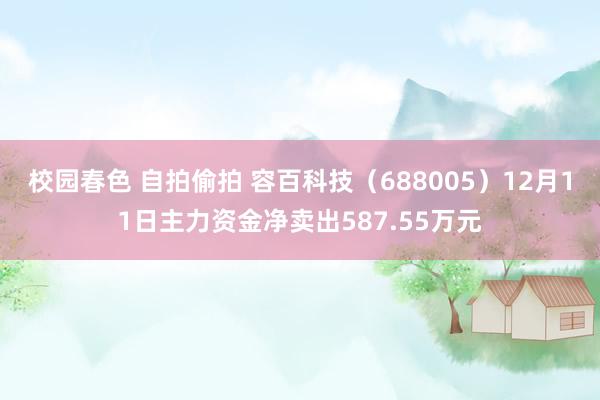 校园春色 自拍偷拍 容百科技（688005）12月11日主力资金净卖出587.55万元