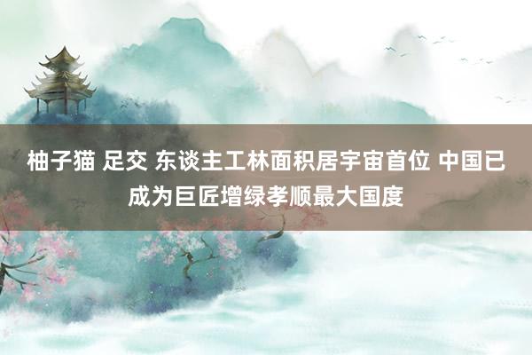 柚子猫 足交 东谈主工林面积居宇宙首位 中国已成为巨匠增绿孝顺最大国度