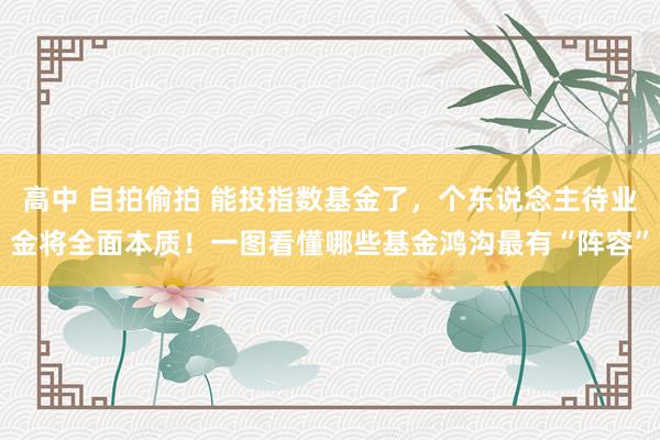 高中 自拍偷拍 能投指数基金了，个东说念主待业金将全面本质！一图看懂哪些基金鸿沟最有“阵容”