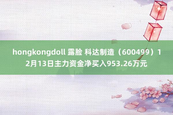 hongkongdoll 露脸 科达制造（600499）12月13日主力资金净买入953.26万元
