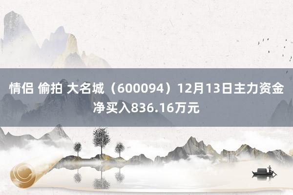 情侣 偷拍 大名城（600094）12月13日主力资金净买入836.16万元