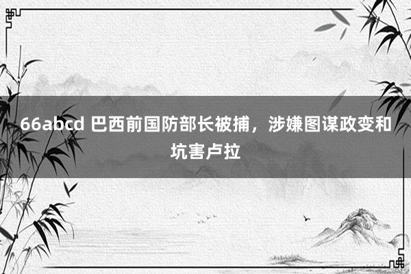 66abcd 巴西前国防部长被捕，涉嫌图谋政变和坑害卢拉