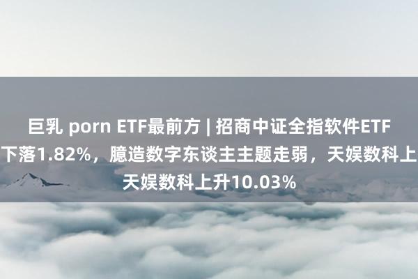 巨乳 porn ETF最前方 | 招商中证全指软件ETF(159899)下落1.82%，臆造数字东谈主主题走弱，天娱数科上升10.03%