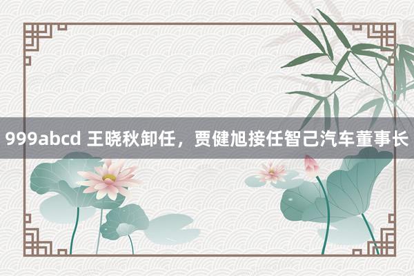 999abcd 王晓秋卸任，贾健旭接任智己汽车董事长