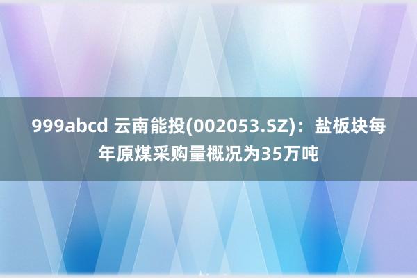 999abcd 云南能投(002053.SZ)：盐板块每年原煤采购量概况为35万吨