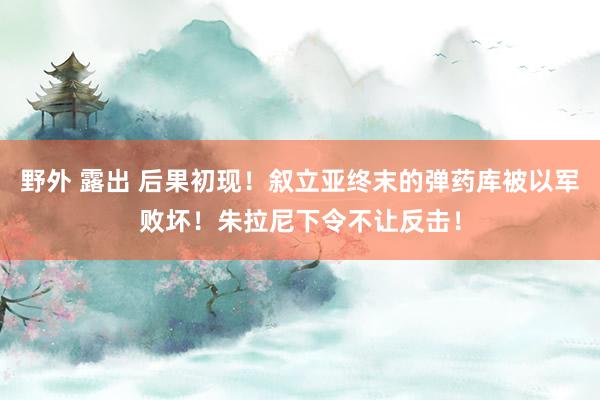 野外 露出 后果初现！叙立亚终末的弹药库被以军败坏！朱拉尼下令不让反击！