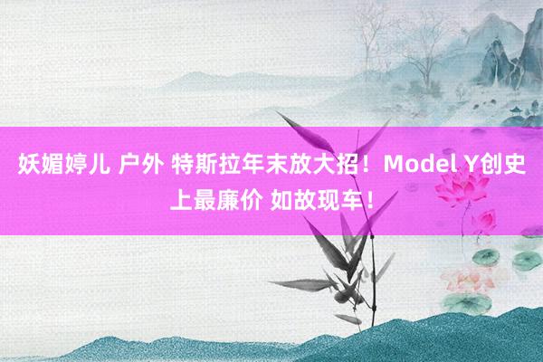 妖媚婷儿 户外 特斯拉年末放大招！Model Y创史上最廉价 如故现车！