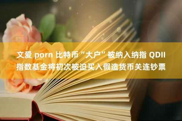 文爱 porn 比特币“大户”被纳入纳指 QDII指数基金将初次被迫买入假造货币关连钞票