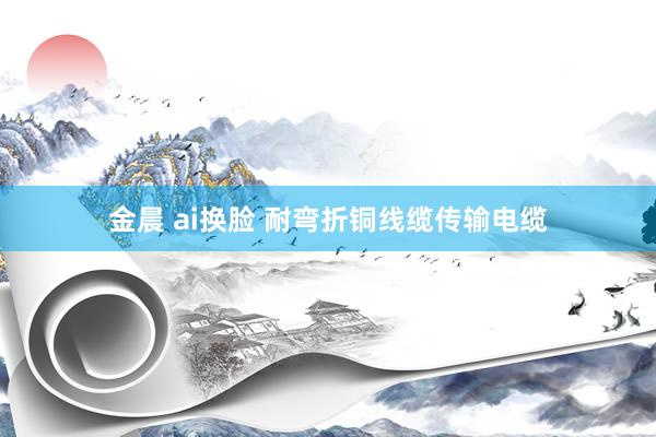 金晨 ai换脸 耐弯折铜线缆传输电缆