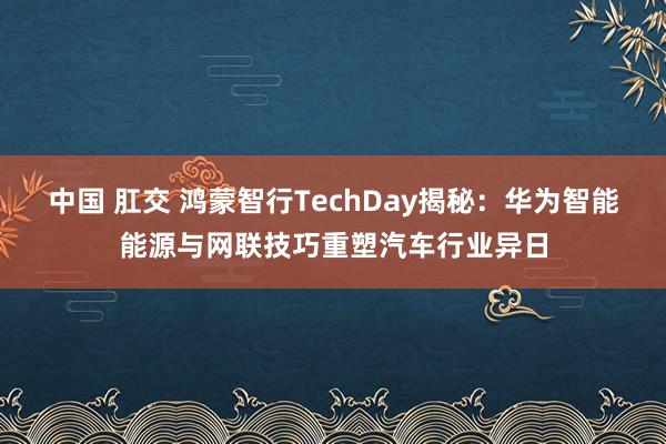 中国 肛交 鸿蒙智行TechDay揭秘：华为智能能源与网联技巧重塑汽车行业异日