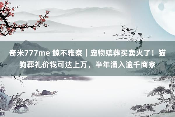 奇米777me 鲸不雅察｜宠物殡葬买卖火了！猫狗葬礼价钱可达上万，半年涌入逾千商家