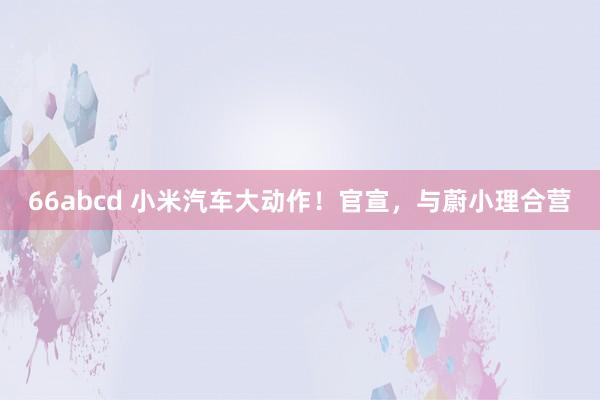 66abcd 小米汽车大动作！官宣，与蔚小理合营