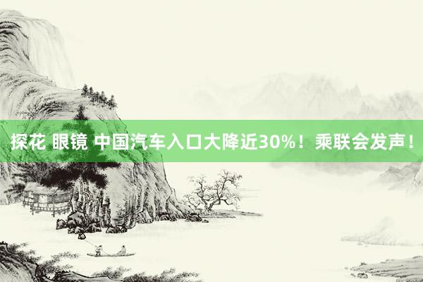 探花 眼镜 中国汽车入口大降近30%！乘联会发声！