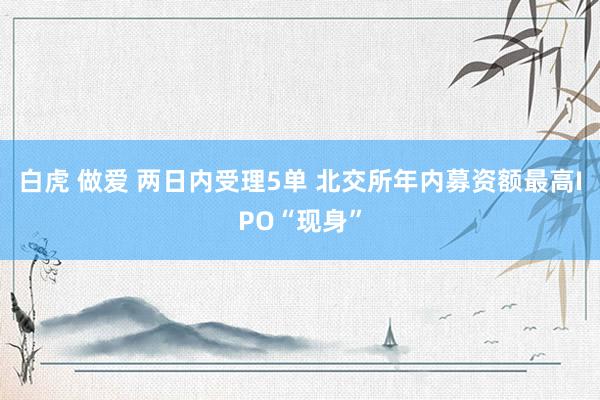 白虎 做爱 两日内受理5单 北交所年内募资额最高IPO“现身”