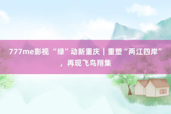 777me影视 “绿”动新重庆｜重塑“两江四岸”，再现飞鸟翔集