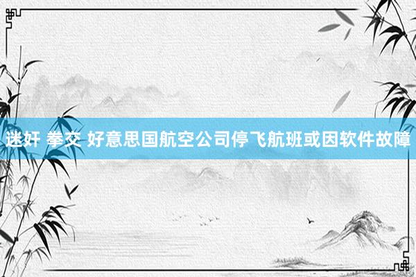 迷奸 拳交 好意思国航空公司停飞航班或因软件故障