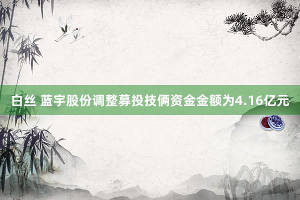 白丝 蓝宇股份调整募投技俩资金金额为4.16亿元