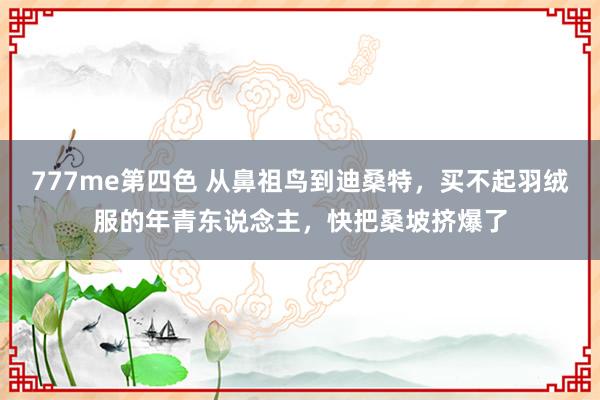 777me第四色 从鼻祖鸟到迪桑特，买不起羽绒服的年青东说念主，快把桑坡挤爆了