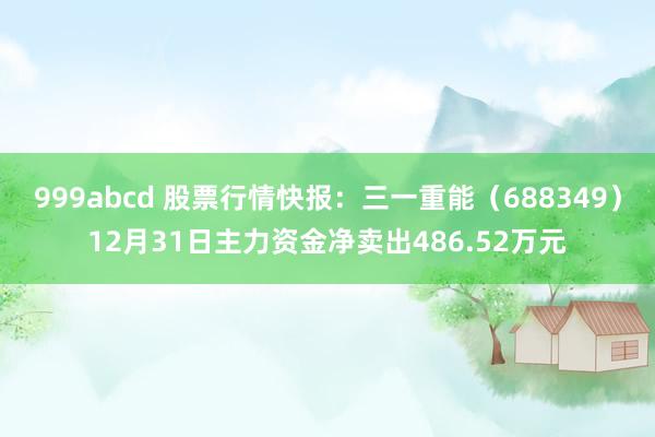 999abcd 股票行情快报：三一重能（688349）12月31日主力资金净卖出486.52万元