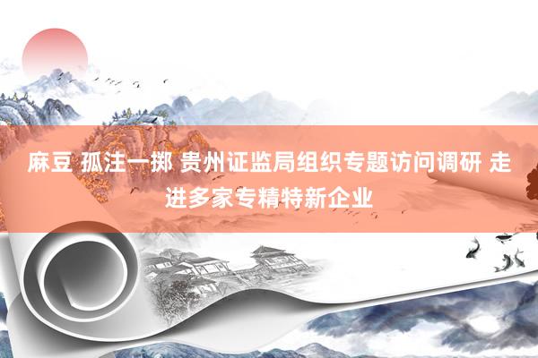 麻豆 孤注一掷 贵州证监局组织专题访问调研 走进多家专精特新企业