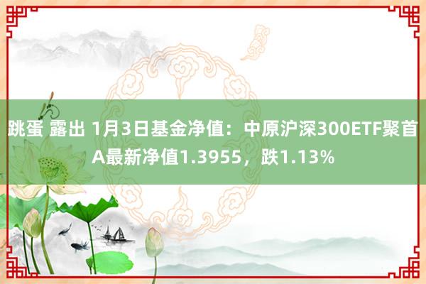跳蛋 露出 1月3日基金净值：中原沪深300ETF聚首A最新净值1.3955，跌1.13%