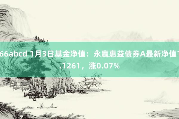 66abcd 1月3日基金净值：永赢惠益债券A最新净值1.1261，涨0.07%
