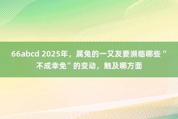 66abcd 2025年，属兔的一又友要濒临哪些“不成幸免”的变动，触及哪方面