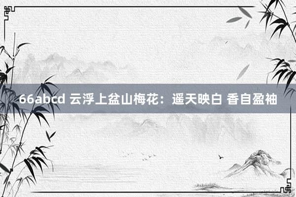 66abcd 云浮上盆山梅花：遥天映白 香自盈袖