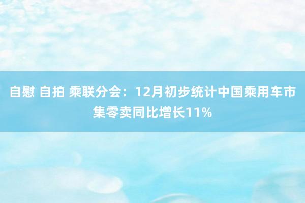 自慰 自拍 乘联分会：12月初步统计中国乘用车市集零卖同比增长11%