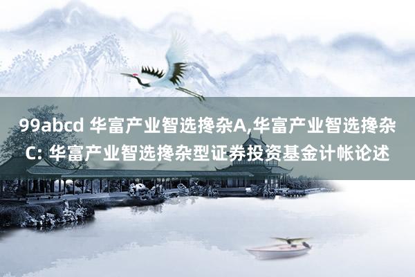 99abcd 华富产业智选搀杂A,华富产业智选搀杂C: 华富产业智选搀杂型证券投资基金计帐论述
