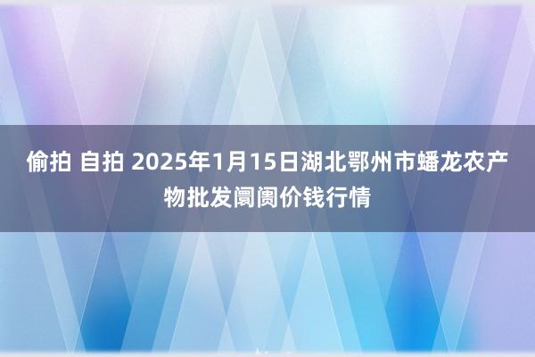 偷拍 自拍 2025年1月15日湖北鄂州市蟠龙农产物批发阛阓价钱行情