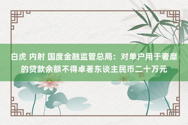 白虎 内射 国度金融监管总局：对单户用于奢靡的贷款余额不得卓著东谈主民币二十万元