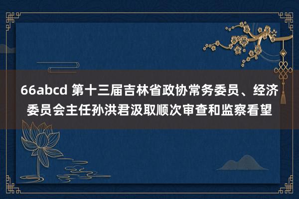 66abcd 第十三届吉林省政协常务委员、经济委员会主任孙洪君汲取顺次审查和监察看望