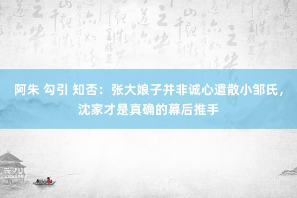 阿朱 勾引 知否：张大娘子并非诚心遣散小邹氏，沈家才是真确的幕后推手