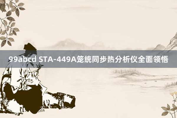 99abcd STA-449A笼统同步热分析仪全面领悟