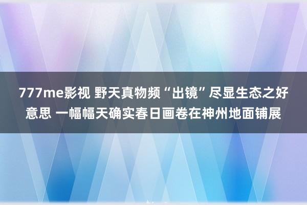 777me影视 野天真物频“出镜”尽显生态之好意思 一幅幅天确实春日画卷在神州地面铺展