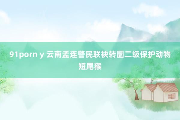 91porn y 云南孟连警民联袂转圜二级保护动物短尾猴