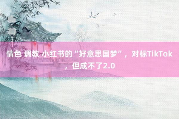 情色 调教 小红书的“好意思国梦”，对标TikTok，但成不了2.0