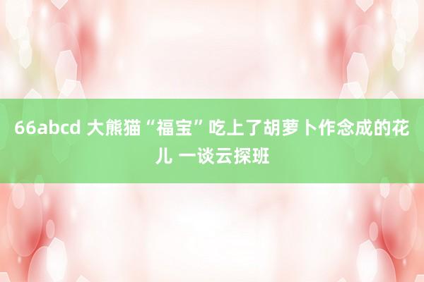 66abcd 大熊猫“福宝”吃上了胡萝卜作念成的花儿 一谈云探班