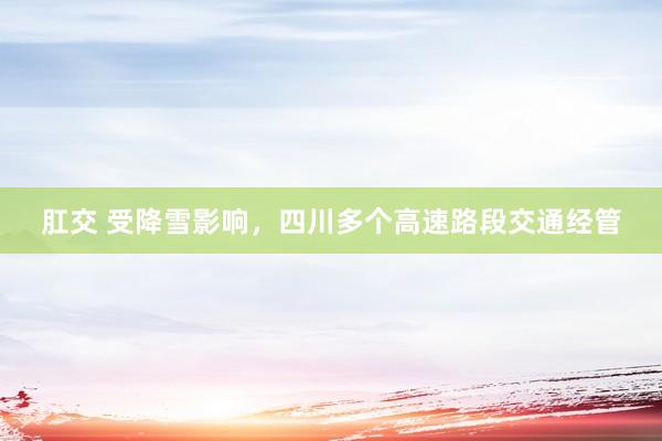 肛交 受降雪影响，四川多个高速路段交通经管