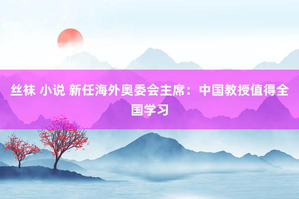 丝袜 小说 新任海外奥委会主席：中国教授值得全国学习