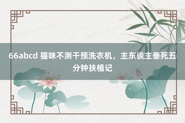66abcd 猫咪不测干预洗衣机，主东谈主垂死五分钟扶植记