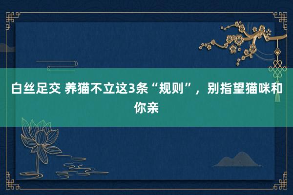 白丝足交 养猫不立这3条“规则”，别指望猫咪和你亲